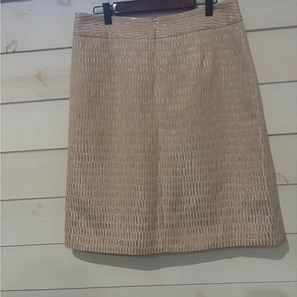 Talbots NWT Shimmering Beige Pencil Skirt in size 8 - Picture 8 of 16